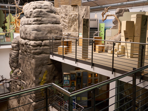 Nationalparkzentrum Innenansicht des Nationalparkzentrums mit Geländer, einer künstlichen Felsstruktur und einer Metalltreppe.