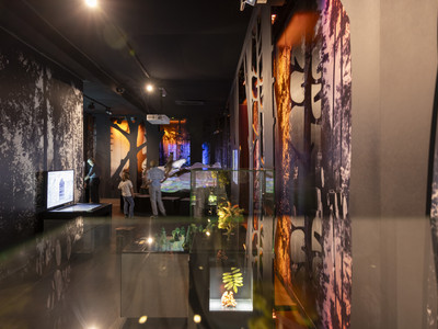 HarzWaldHaus Ausstellung