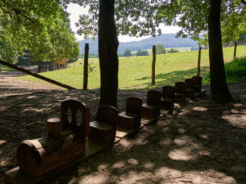 Holzeisenbahn am Wildgehege Holzeisenbahn im Schatten großer Bäume, Blick auf grüne Wiese und Hügel im Hintergrund.