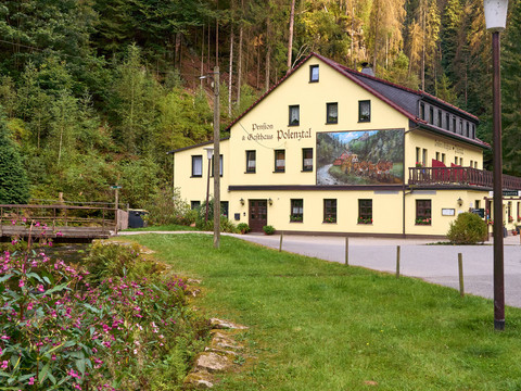 Gelbes Gebäude mit Aufschrift "Pension Polenztal" neben Wald und Straße, Blumen im Vordergrund.