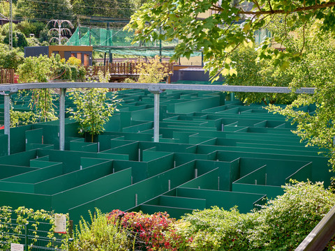 Elbefreizeitland - Labyrinth Grünes Labyrinth umgeben von Bäumen und Sträuchern.