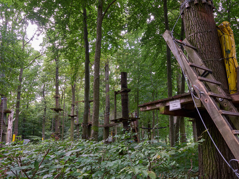 Kletterpark im Wald mit Plattformen und Seilbrücken zwischen Bäumen.
