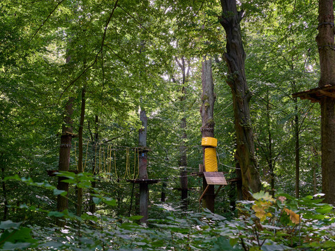Kletterpark mit Seilrutschen und Plattformen zwischen Bäumen in einem Wald.