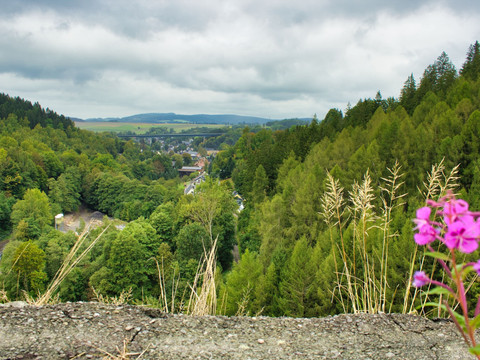 Blick nach Markersbach zum Viadukt