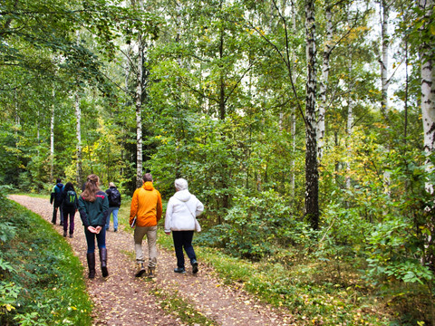 Wanderer im Herbstwald