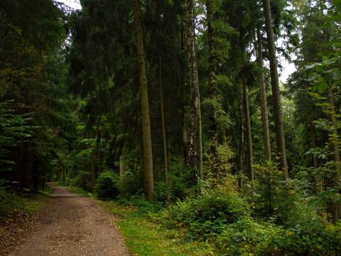angenehme Wege rund um das Unterbecken