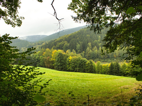 erfrischende Ausblicke ins Grüne
