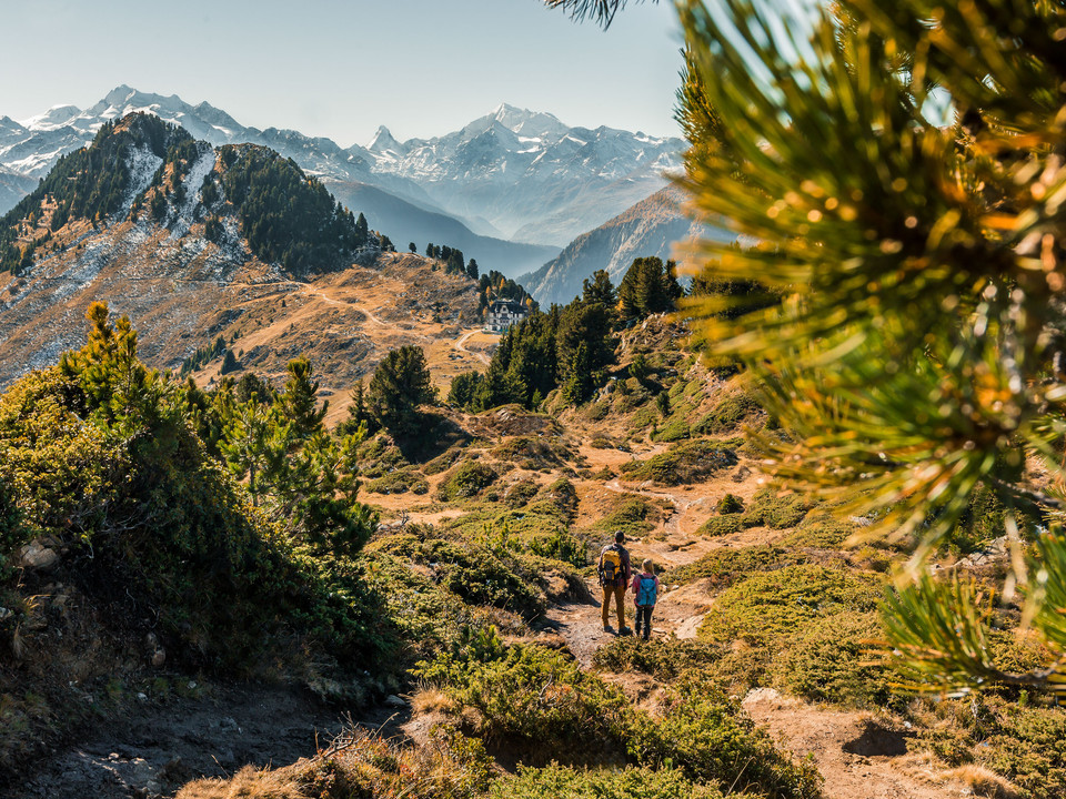 Randonnée dans la forêt d'Aletsch dorée 2-für-1 Matterhorn Aletschgletscher mit wanderndem Paar durch den herbstlichen Aletschwald mit Sicht auf das Matterhorn2-for-1 Matterhorn Aletsch Glacier with hiking couple through the autumnal Aletsch forest with a view of the MatterhornGlacier d'Aletsch du Cervin 2 pour 1 avec un couple de randonneurs à travers la forêt d'Aletsch en automne avec vue sur le Cervin