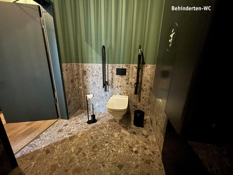 Invalidentoilet.jpg Toilet met inklapbare handrails links en rechts