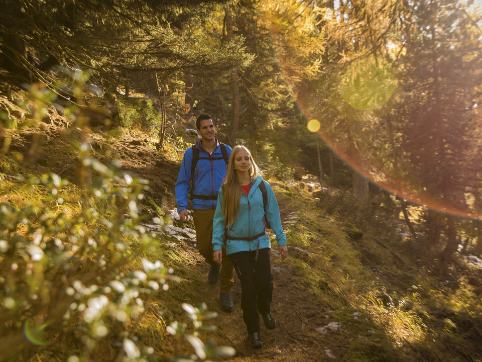 Randonnée d'automne dans l'Aletsch Arena Herbstsonne Aletsch Arena mit Paar auf Wanderweg durch goldene Lärchenwälder im warmen SonnenlichtAutumn sun Aletsch Arena with couple on hiking trail through golden larch forests in the warm sunlightSoleil d'automne Aletsch Arena avec un couple sur un sentier de randonnée à travers les forêts de mélèzes dorés sous la lumière chaude du soleil