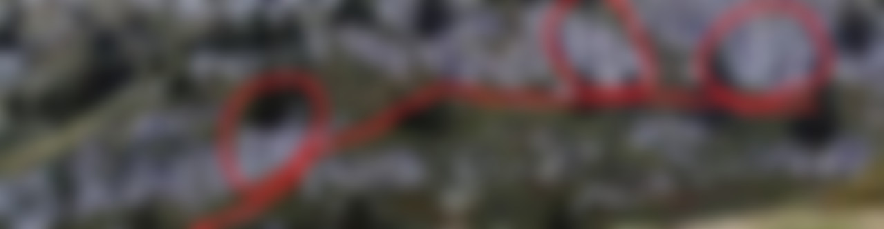 Klettergarten Bettmersee