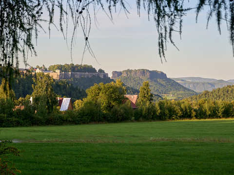 Blick vom Walderlebniszentrum auf Lilienstein und Festung Königstein, Vordergrund Wiese, Mittelgrund Bäume und Dächer.