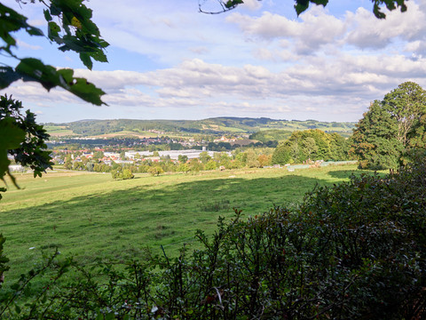 Blick durch Blätter auf eine grüne Landschaft Hügeln im Hintergrund.