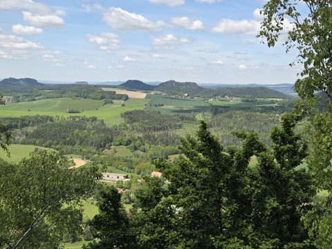 Aussicht auf grüne Landschaft mit Bäumen und Feldern, blauer Himmel.