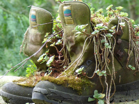 Auf dem Steinbrecherweg