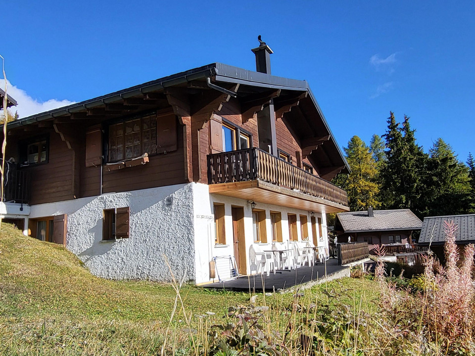 Aussenansicht Sommer 2