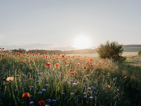 Urlaub in wunderschöner Landschaft