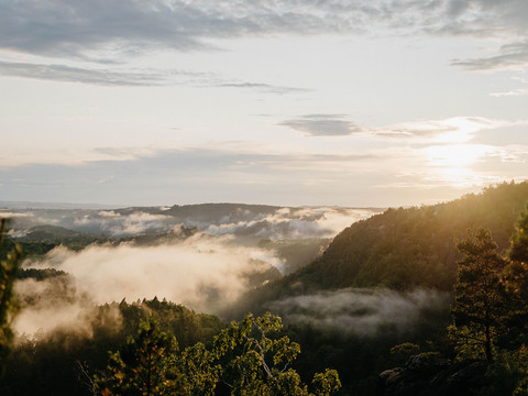 Romantische Stimmung im Elbsandstein