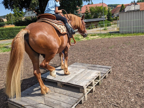Reittraining