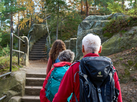 Hockstein bei Hohnstein Drei Wanderer mit Rucksäcken gehen eine steinerne Treppe im Wald hinauf.