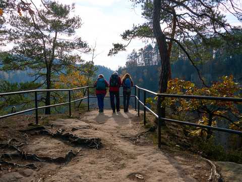 Hockstein bei Hohnstein Drei Personen wandern auf einem Waldweg mit Geländer und Aussicht auf Bäume.