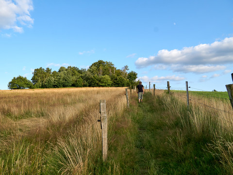 Person wandert auf einem schmalen Pfad durch ein Feld mit hohem Gras und einem Zaun.A person walks along a narrow path through a field with tall grass and a fence.Osoba jde po úzké cestě přes pole s vysokou trávou a plotem.Osoba idzie wąską ścieżką przez pole porośnięte wysoką trawą i ogrodzone.Een persoon loopt over een smal pad door een veld met hoog gras en een hek.Una persona cammina lungo uno stretto sentiero attraverso un campo con erba alta e una recinzione.