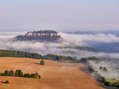 Festung Königstein über Nebelmeer, umgeben von Wald und Feldern im Morgenlicht.