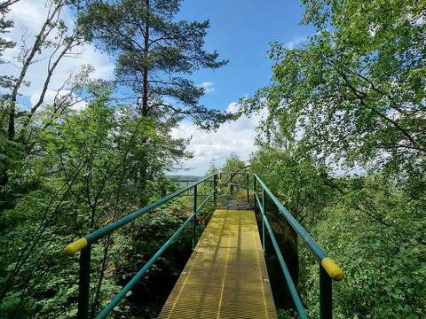 Metallsteg im Wald mit Geländer, umgeben von grünen Bäumen und blauem Himmel.