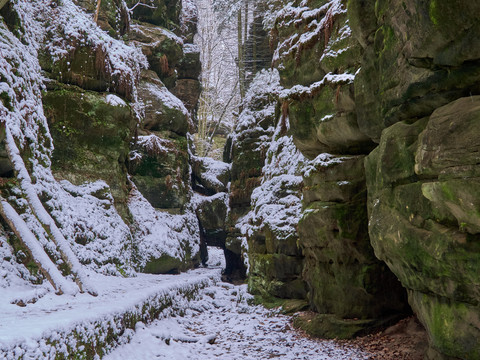 Uttewalder Felsentor im Winter Schneebedeckter Pfad zwischen hohen, moosbewachsenen Felswänden in einer Schlucht.
