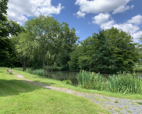 Teichanlage auf dem Rundweg Schierberg 1