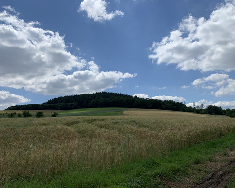 Kulturlandschaft auf dem Rundweg Schierberg 1
