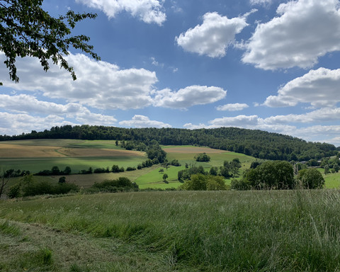 Panorama auf dem Rundweg Schierberg 1