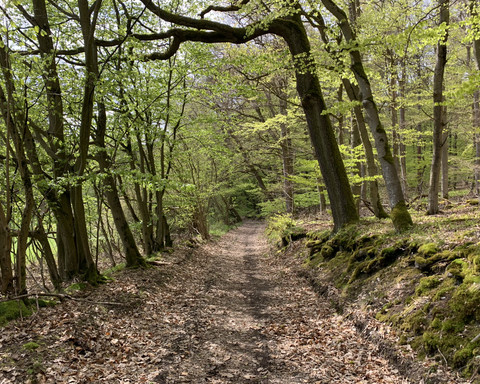 Unterwegs auf dem Spicke Rundweg 1 bei Edertal-Kleinern
