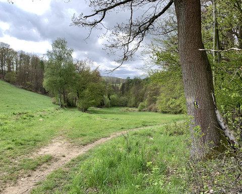 Unterwegs auf dem Spicke Rundweg 1 bei Edertal-Kleinern