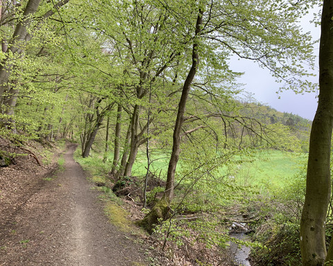 Unterwegs auf dem Spicke Rundweg 1 bei Edertal-Kleinern