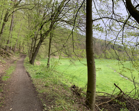 Unterwegs auf dem Spicke Rundweg 1 bei Edertal-Kleinern