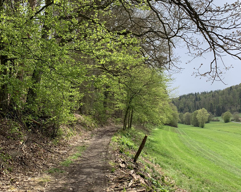 Unterwegs auf dem Spicke Rundweg 1 bei Edertal-Kleinern
