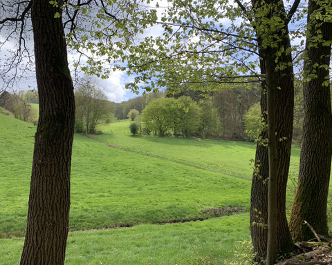 Unterwegs auf dem Spicke Rundweg 1 bei Edertal-Kleinern