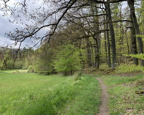 Unterwegs auf dem Spicke Rundweg 1 bei Edertal-Kleinern
