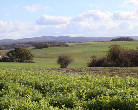 Ausblick vom Höhnscheid