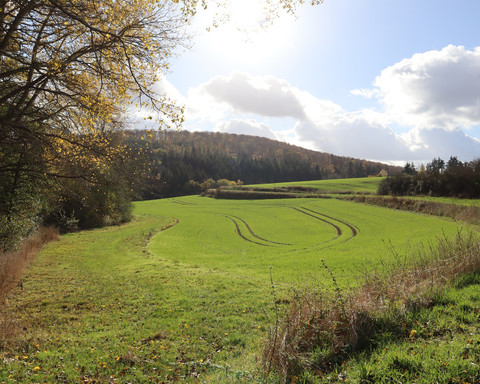 schöne Agrarlandschaften