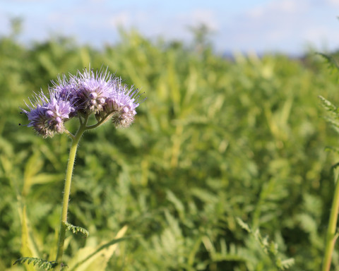 Unterwegs auf dem Rundweg Immighausen