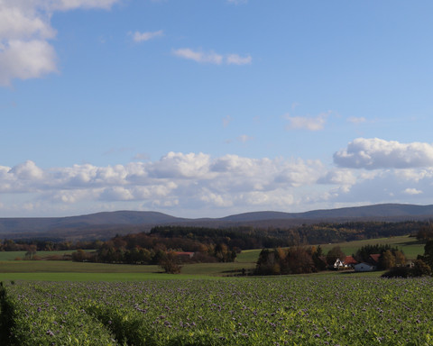 Unterwegs auf dem Rundweg Immighausen