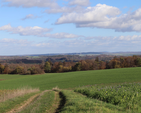 Unterwegs auf dem Rundweg Immighausen