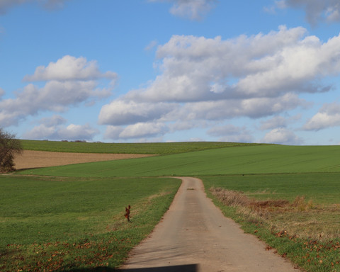 Unterwegs auf dem Rundweg Immighausen
