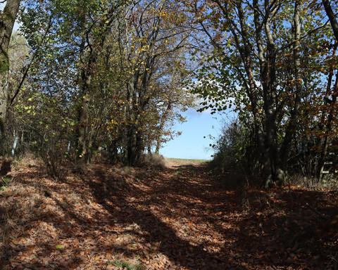 Unterwegs auf dem Rundweg Immighausen