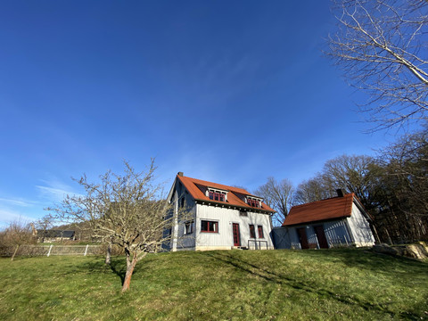 Großer Garten mit Sitz-und Grillmöglichkeiten