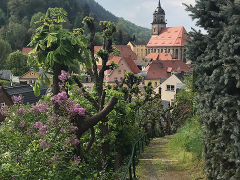 Der Zugang zum Haus