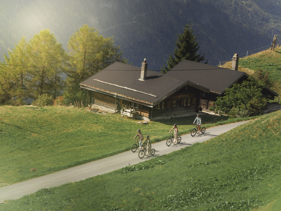 Scooter adventure on alpine meadows in the Aletsch Arena Beim Trottinett Aletsch Arena fahren vier Freunde entlang einer grünen Bergwiese bei der Bettmeralp und geniessen den Ausblick über das RhonetalOn the Aletsch Arena scooter, four friends ride along a green mountain meadow near Bettmeralp and enjoy the view over the Rhone ValleyAvec la trottinette Aletsch Arena, quatre amis roulent le long d'un pré de montagne verdoyant près de Bettmeralp et profitent de la vue sur la vallée du Rhône.