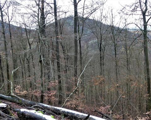 Durchblick zum Bilstein